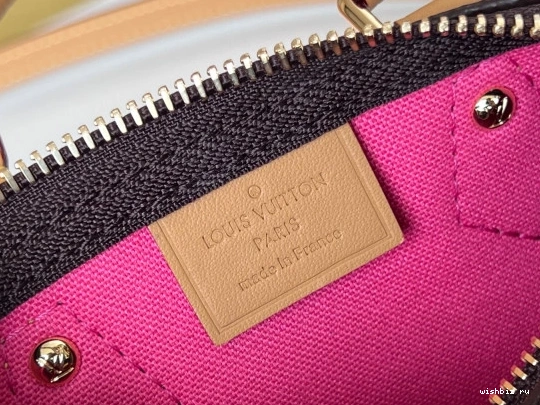 WIS NANO LOUIS SPEEDY VUITTON 0224